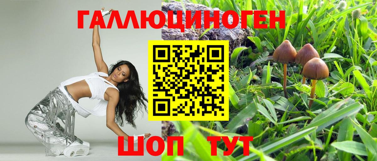 Псилоцибиновые грибы Cubensis Котельники