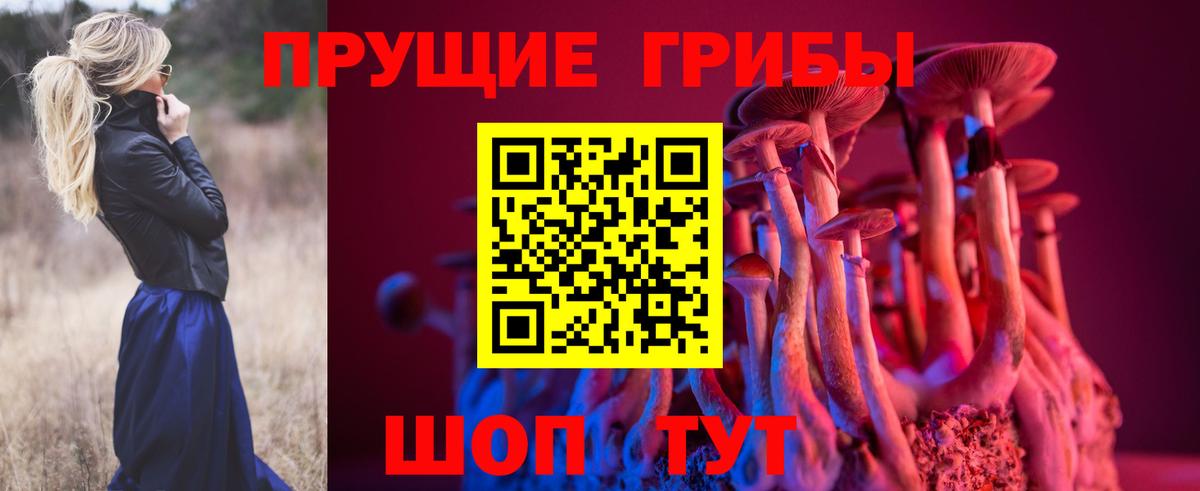 Галлюциногенные грибы Psilocybine cubensis  Вход с VPN  закладки  Псилоцибиновые грибы GOLDEN TEACHER  Котельники 